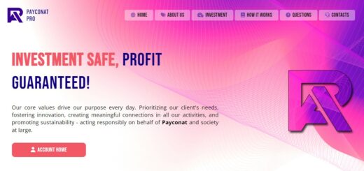 Payconat.pro среднедоходный инвестиционный проект